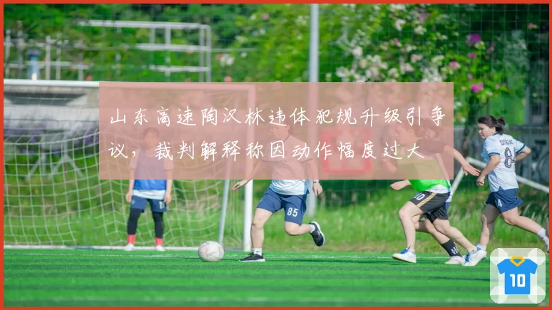 山东高速陶汉林违体犯规升级引争议，裁判解释称因动作幅度过大
