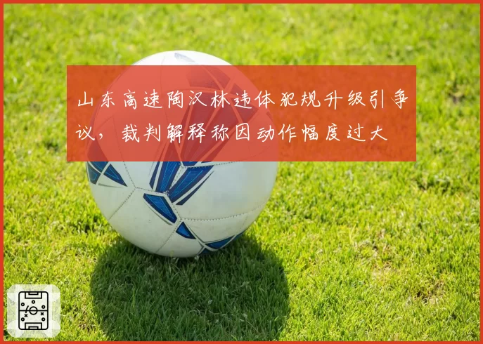 山东高速陶汉林违体犯规升级引争议，裁判解释称因动作幅度过大